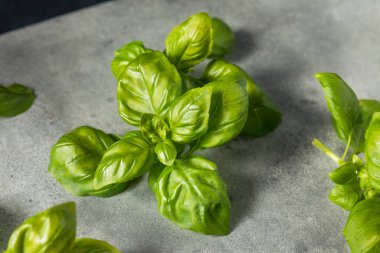 Çiğ yeşil organik İtalyan fesleğeni ile pişirmeye hazır