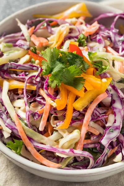 Ensalada Col Ecológica Casera Con Col Zanahorias — Foto de Stock