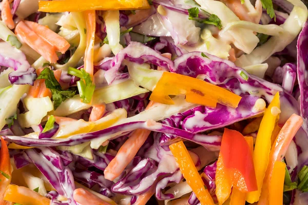 Ensalada Col Ecológica Casera Con Col Zanahorias — Foto de Stock