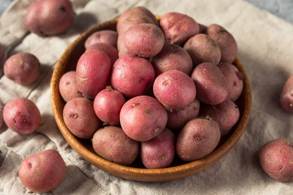 Rote Bio Kartoffeln Einer Kochfertigen Schüssel — Stockfoto