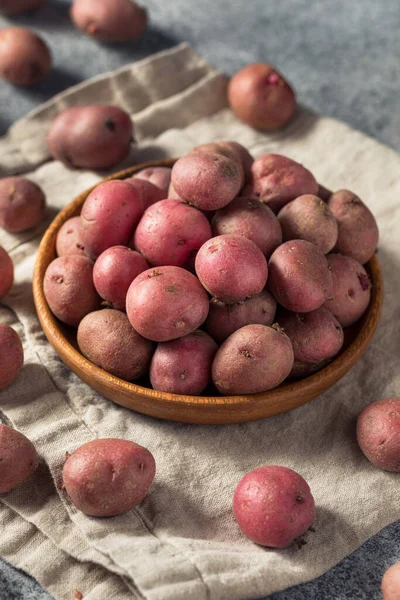Червоний Органічний Картопля Мисці Готова Приготування — стокове фото