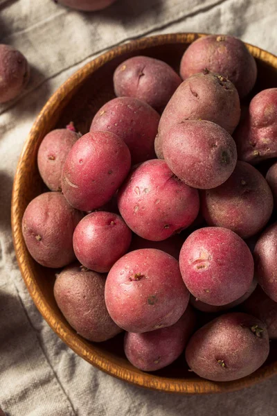 Patatas Ecológicas Rojas Tazón Listo Para Cocinar — Foto de Stock