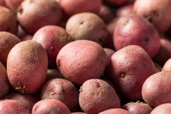 Patatas Ecológicas Rojas Tazón Listo Para Cocinar — Foto de Stock