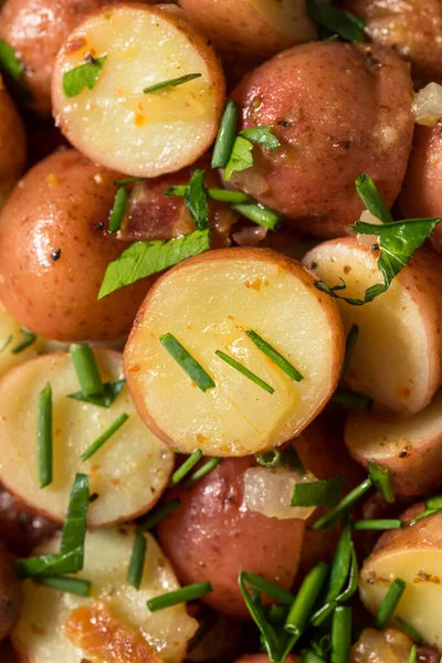 Ensalada Patata Alemana Casera Con Hierbas Mostaza — Foto de Stock