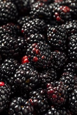 Bir kase çiğ siyah organik böğürtlen