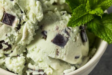 Ev yapımı yeşil naneli çikolatalı dondurma kasesinde.