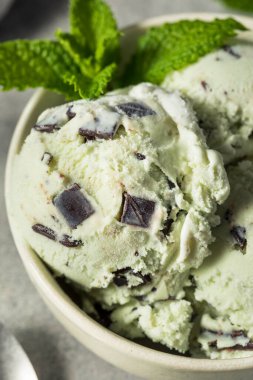 Ev yapımı yeşil naneli çikolatalı dondurma kasesinde.