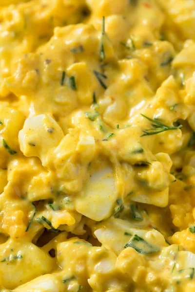 自制健康鸡蛋沙律与迪尔鱼和蛋黄酱 — 图库照片