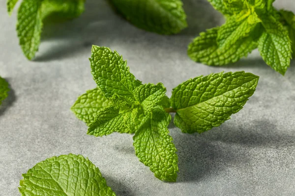 Hojas Menta Cruda Orgánica Saludable Manojo — Foto de Stock