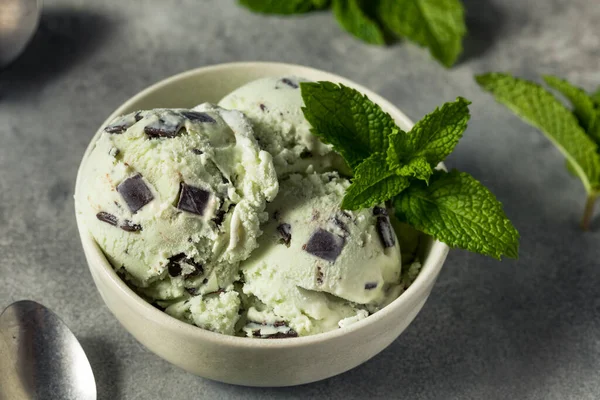 Hausgemachtes Green Mint Chocolate Chip Ice Einer Schüssel — Stockfoto