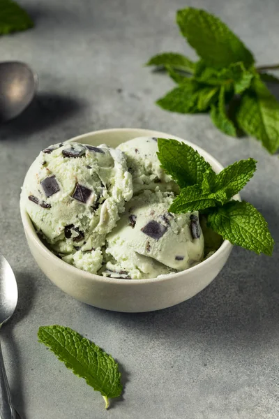 Crème Glacée Aux Pépites Chocolat Menthe Verte Maison Dans Bol — Photo