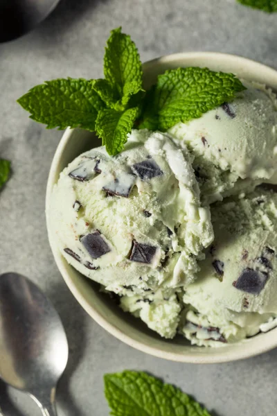 Házi Készítésű Zöld Menta Csokoládé Chip Jégkrém Egy Tálban — Stock Fotó