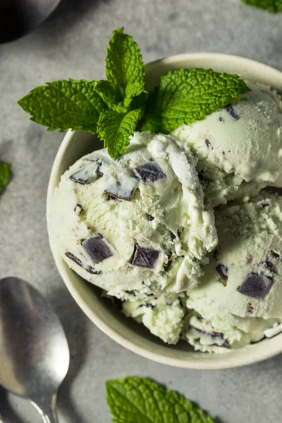 Helado Casero Viruta Del Chocolate Menta Verde Tazón — Foto de Stock