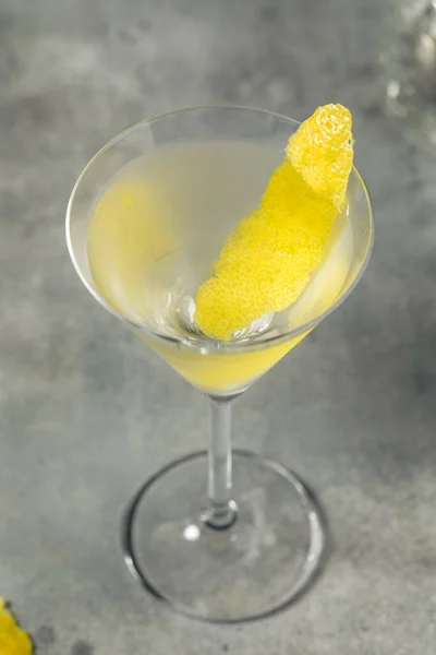 Boozy Cold Lemon Gin Martini Vermouth Bitters — Stockfoto