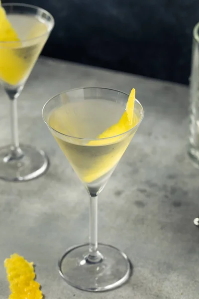 Boozy Cold Lemon Gin Martini Wermutem Bitterami — Zdjęcie stockowe