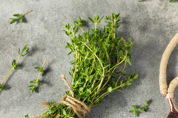 Raw Green Organic Thyme Herb Bunch Cooking — Stockfoto