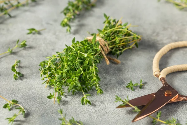 Raw Green Organic Thyme Herb Bunch Cooking —  Fotos de Stock