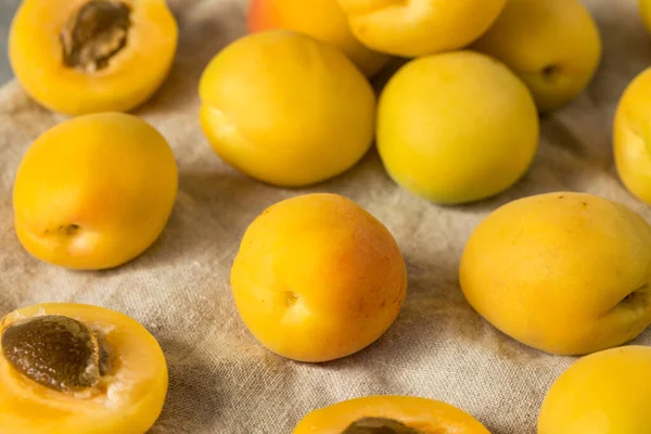 Healthy Organic White Apricot Angelcots Ready Eat — Zdjęcie stockowe