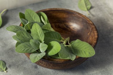 Çiğ yeşil organik adaçayı pişirmeye hazır.