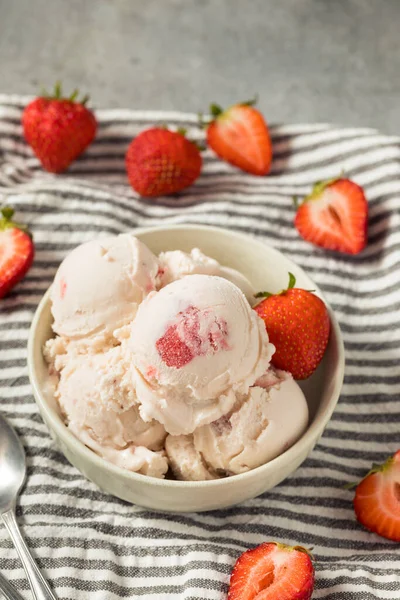 Homemade Organic Strawberry Ice Cream Bowl — Fotografia de Stock