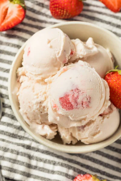 Homemade Organic Strawberry Ice Cream Bowl — Zdjęcie stockowe