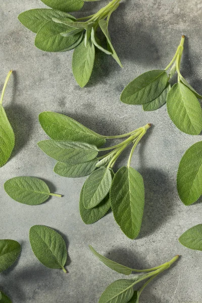 Raw Green Organic Sage Herbs Ready Cooking — Stockfoto