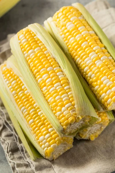 Raw Organic Yellow Sweet Corn Cob Ready Cook — Fotografia de Stock