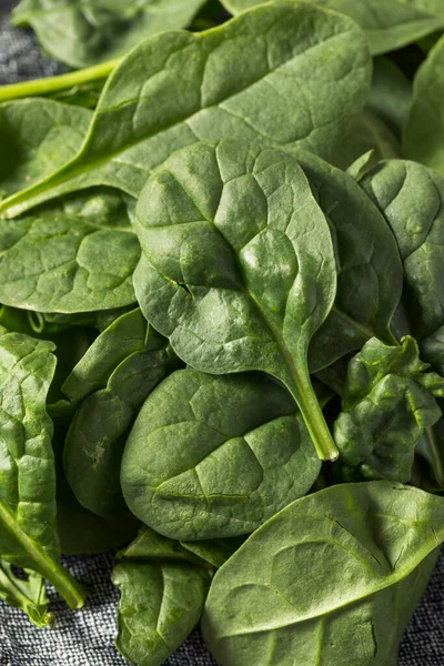 Raw Green Organic Baby Spinach Ready Cook — Foto de Stock