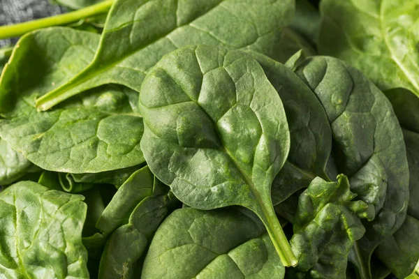 Raw Green Organic Baby Spinach Ready Cook — Fotografia de Stock