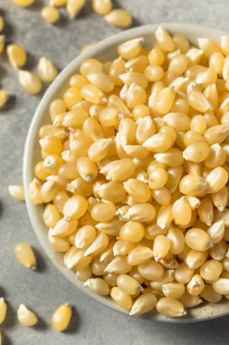Dry Organic White Popcorn Kernels in a Bowl