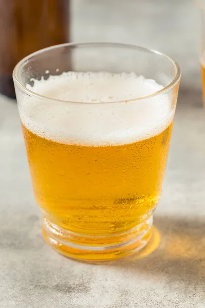 Cold Boozy Refreshing Beer Short Glass — Foto Stock