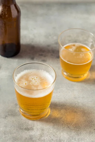 Cold Boozy Refreshing Beer Short Glass — Photo