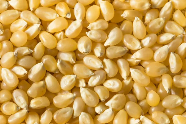 Dry Organic White Popcorn Kernels Bowl — Stock Photo, Image