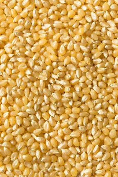 Dry Organic White Popcorn Kernels Bowl — Foto de Stock
