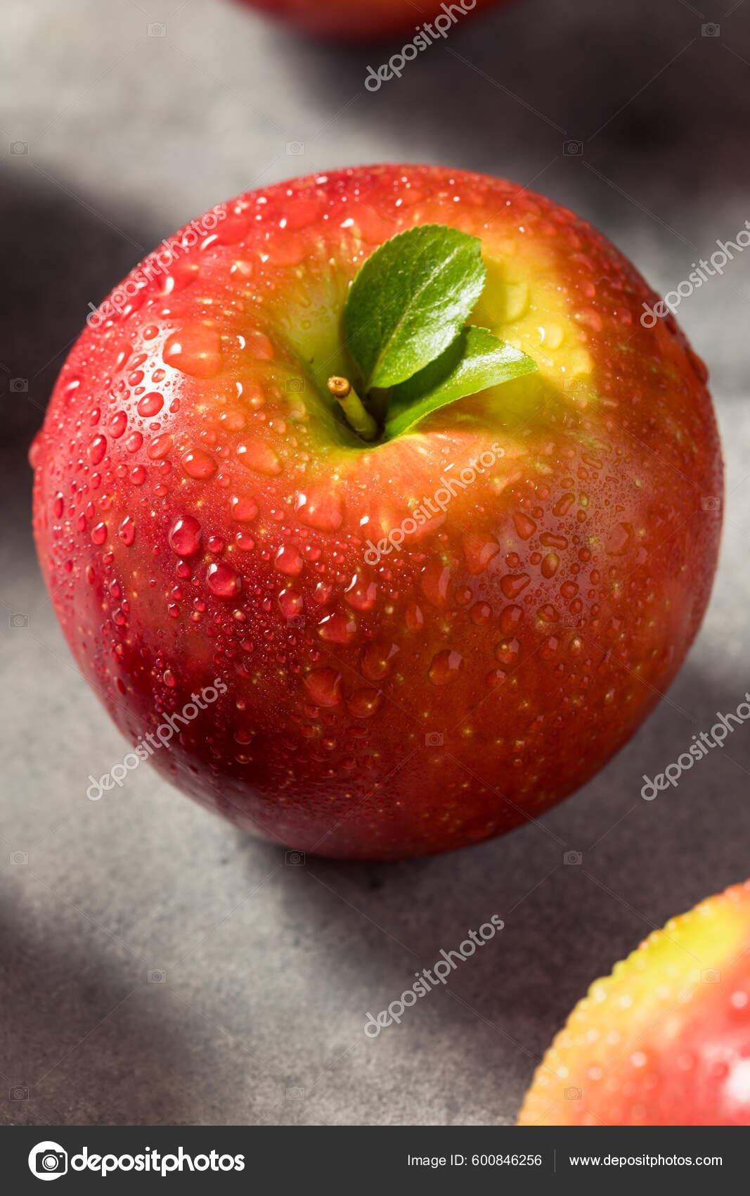 Raw Red Organic Cosmic Crisp Apples Stock Photo - Image of apples