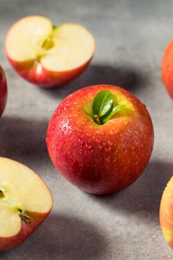 Raw Red Organic Cosmic Crisp Apples in a Bunch
