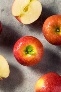 Raw Red Organic Cosmic Crisp Apples in a Bunch