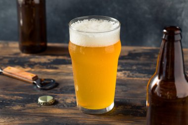 Cold Refreshing Boozy Farmhouse Ale Beer in a Pint Glass