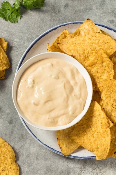 Homemade Creamy White Queso Dip Tortilla Chips — Stockfoto