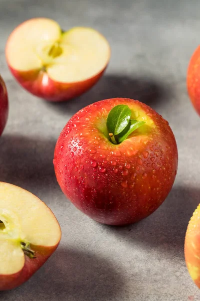 Raw Red Organic Cosmic Crisp Apples in a Bunch