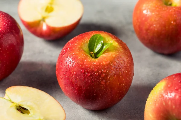 Raw Red Organic Cosmic Crisp Apples Bunch — Stok fotoğraf