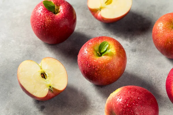 Raw Red Organic Cosmic Crisp Apples in a Bunch