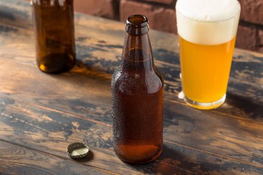 Cold Refreshing Craft Beer in a Bottle Ready to Drink