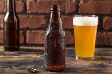 Cold Refreshing Craft Beer in a Bottle Ready to Drink
