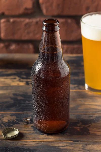 Cold Refreshing Craft Beer Bottle Ready Drink — Foto Stock