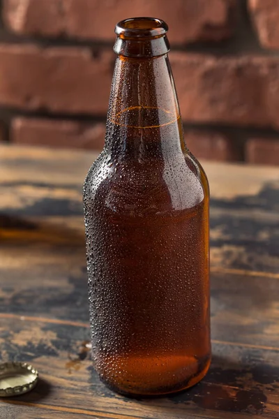 Cold Refreshing Craft Beer Bottle Ready Drink — Foto Stock