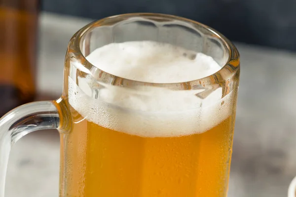 Освежающее Холодное Пиво Кружке Орехами — стоковое фото