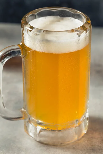 Boozy Refreshing Cold Craft Beer Mug Nuts — 스톡 사진