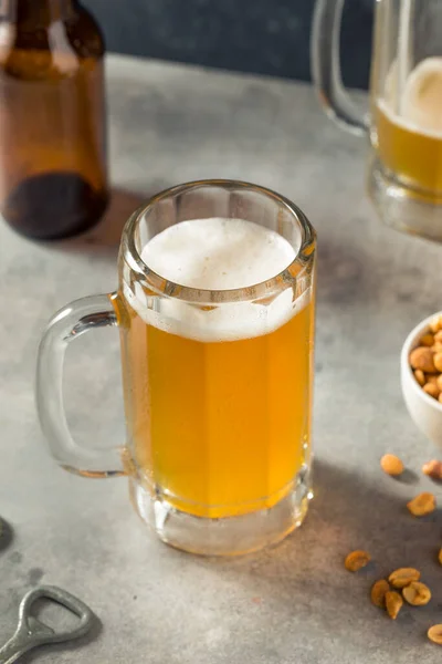 Boozy Refreshing Cold Craft Beer Mug Nuts — Zdjęcie stockowe