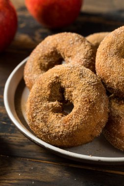 Homemade Fall Apple Cider Donuts Ready to Eat
